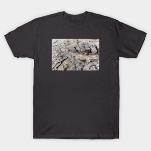 Tiny Squares Chissled Into Rock Formation T-Shirt